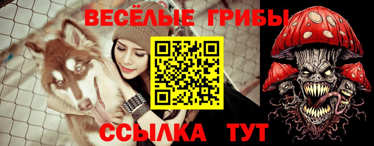 Галлюциногенные грибы GOLDEN TEACHER  Вход с VPN  Туймазы 