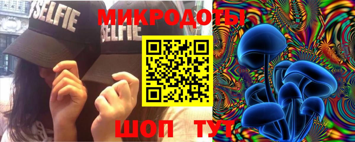 Галлюциногенные грибы Psilocybe Туймазы